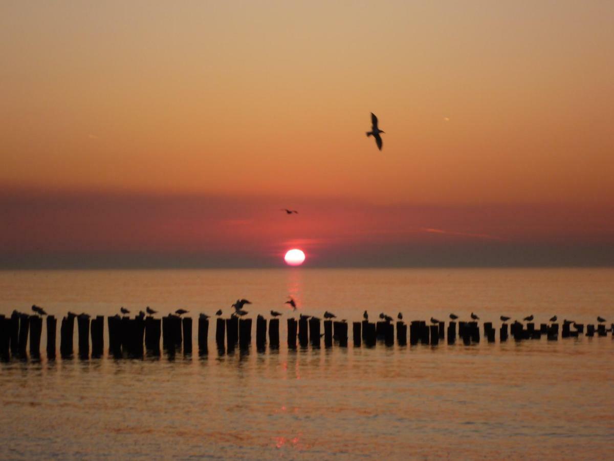 Vakantiehuis Domburg, Kindvriendelijk Do02 Ngoại thất bức ảnh